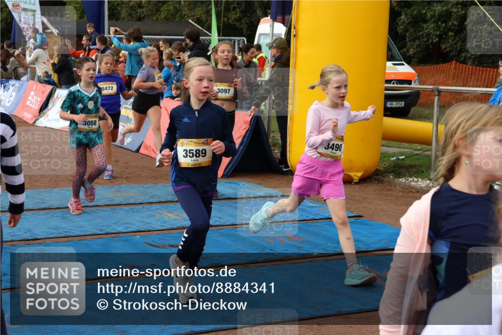 14.09.2025 - Airport Race Strokosch-Dieckow http://msf.ph/oto/8884341 14.09.2025 10:29:10 Ziel 3027, 3058, 3064, 3066, 3097, 3114, 3116, 3118, 3128, 3152, 3201, 3202, 3214, 3221, 3231, 3235, 3462, 3472, 3475, 3479, 3490, 3554, 3562, 3589, 3724, 3733 meine-sportfotos.de