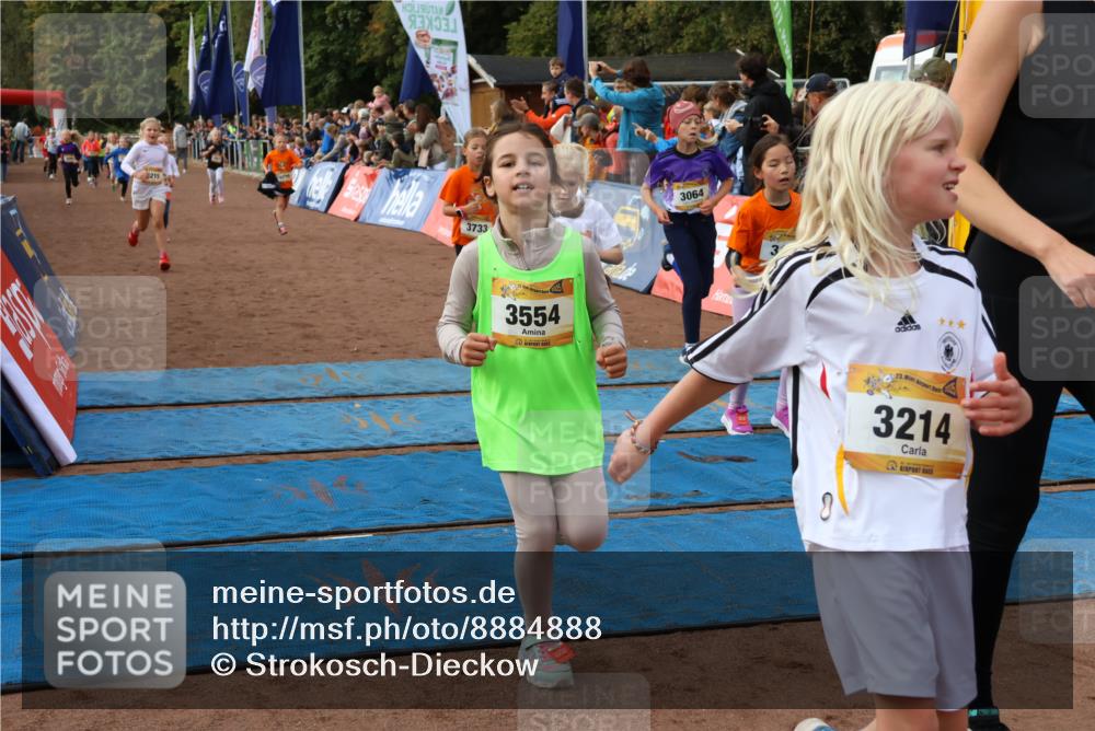 14.09.2025 - Airport Race Strokosch-Dieckow http://msf.ph/oto/8884888 14.09.2025 10:29:18 Ziel 3027, 3039, 3064, 3077, 3096, 3113, 3114, 3128, 3194, 3214, 3215, 3496, 3554, 3562, 3729, 3733 meine-sportfotos.de