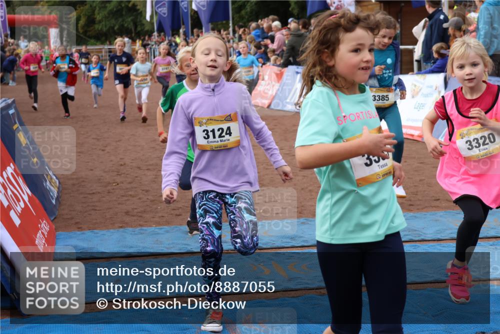 14.09.2025 - Airport Race Strokosch-Dieckow http://msf.ph/oto/8887055 14.09.2025 10:30:05 Ziel 3038, 3053, 3107, 3124, 3141, 3250, 3269, 3310, 3320, 3335, 3380, 3385, 3390, 3485, 3566, 3583, 3593, 3721, 3747 meine-sportfotos.de