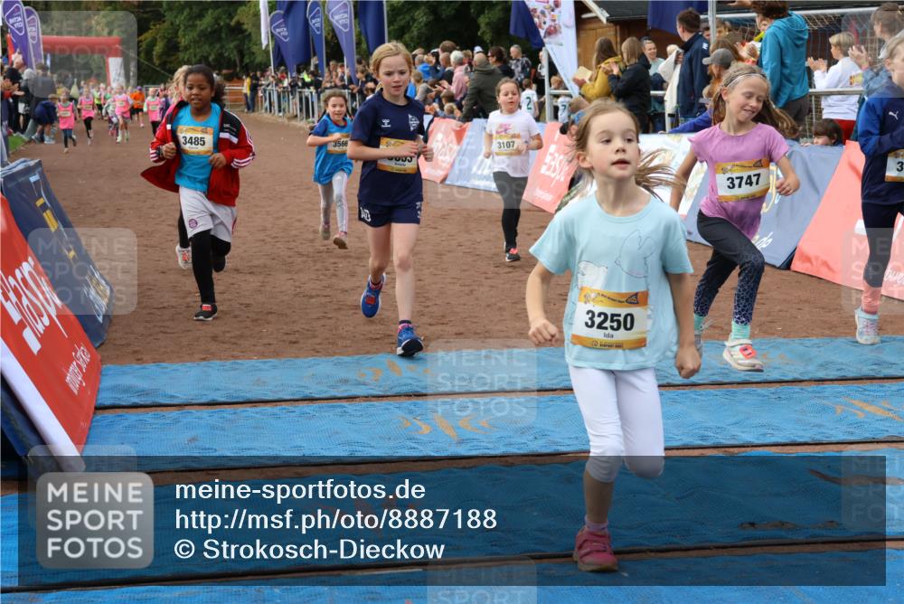 14.09.2025 - Airport Race Strokosch-Dieckow http://msf.ph/oto/8887188 14.09.2025 10:30:10 Ziel 3053, 3086, 3090, 3107, 3250, 3269, 3324, 3380, 3385, 3390, 3485, 3566, 3747 meine-sportfotos.de