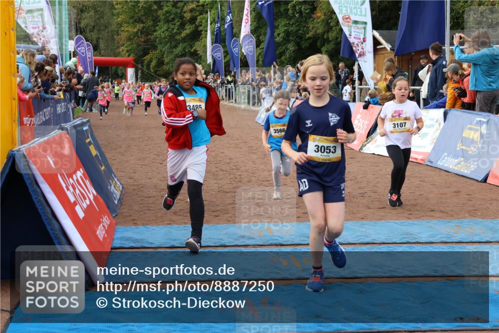 14.09.2025 - Airport Race Strokosch-Dieckow http://msf.ph/oto/8887250 14.09.2025 10:30:11 Ziel 3053, 3086, 3090, 3107, 3250, 3269, 3324, 3349, 3380, 3390, 3485, 3566, 3747 meine-sportfotos.de