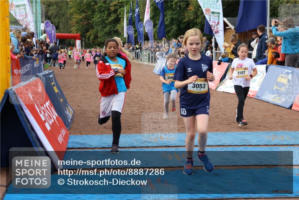 14.09.2025 - Airport Race Strokosch-Dieckow http://msf.ph/oto/8887286 14.09.2025 10:30:11 Ziel 3053, 3086, 3090, 3107, 3250, 3269, 3324, 3349, 3380, 3390, 3485, 3566, 3747 meine-sportfotos.de