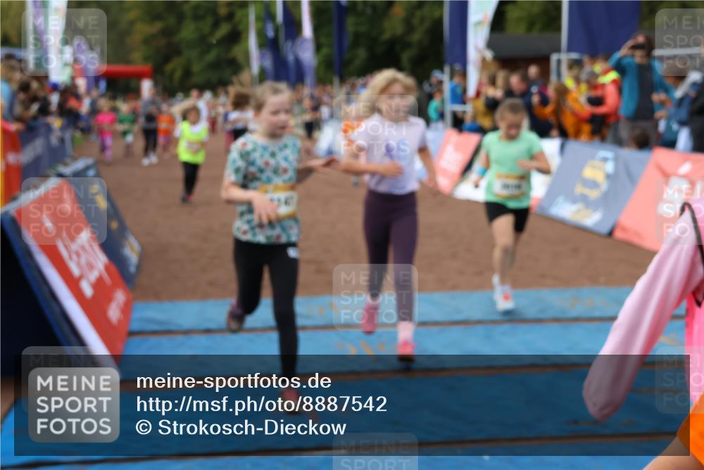 14.09.2025 - Airport Race Strokosch-Dieckow http://msf.ph/oto/8887542 14.09.2025 10:30:32 Ziel 3016, 3031, 3109, 3112, 3147, 3170, 3183, 3224, 3251, 3256, 3257, 3323, 3332, 3334, 3403, 3465, 3467, 3470, 3477, 3553, 3587 meine-sportfotos.de