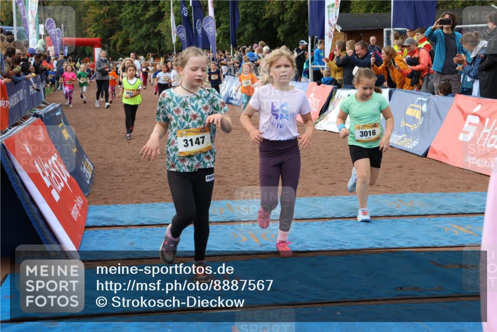 14.09.2025 - Airport Race Strokosch-Dieckow http://msf.ph/oto/8887567 14.09.2025 10:30:32 Ziel 3016, 3031, 3109, 3112, 3147, 3170, 3183, 3224, 3251, 3256, 3257, 3323, 3332, 3334, 3403, 3465, 3467, 3470, 3477, 3553, 3587 meine-sportfotos.de