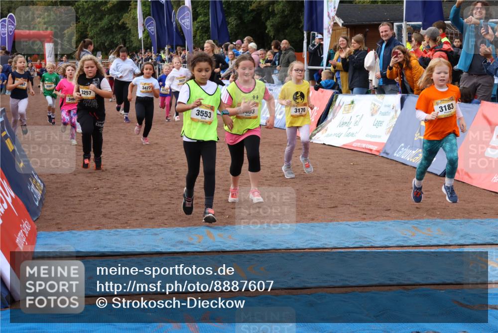 14.09.2025 - Airport Race Strokosch-Dieckow http://msf.ph/oto/8887607 14.09.2025 10:30:35 Ziel 3016, 3031, 3109, 3112, 3140, 3147, 3154, 3170, 3183, 3197, 3224, 3251, 3257, 3332, 3403, 3465, 3467, 3469, 3470, 3477, 3487, 3553, 3587 meine-sportfotos.de