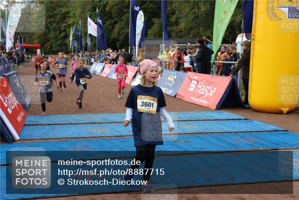 14.09.2025 - Airport Race Strokosch-Dieckow http://msf.ph/oto/8887715 14.09.2025 10:30:47 Ziel 3131, 3179, 3190, 3338, 3469, 3476, 3487, 3495, 3591, 3601, 3748 meine-sportfotos.de