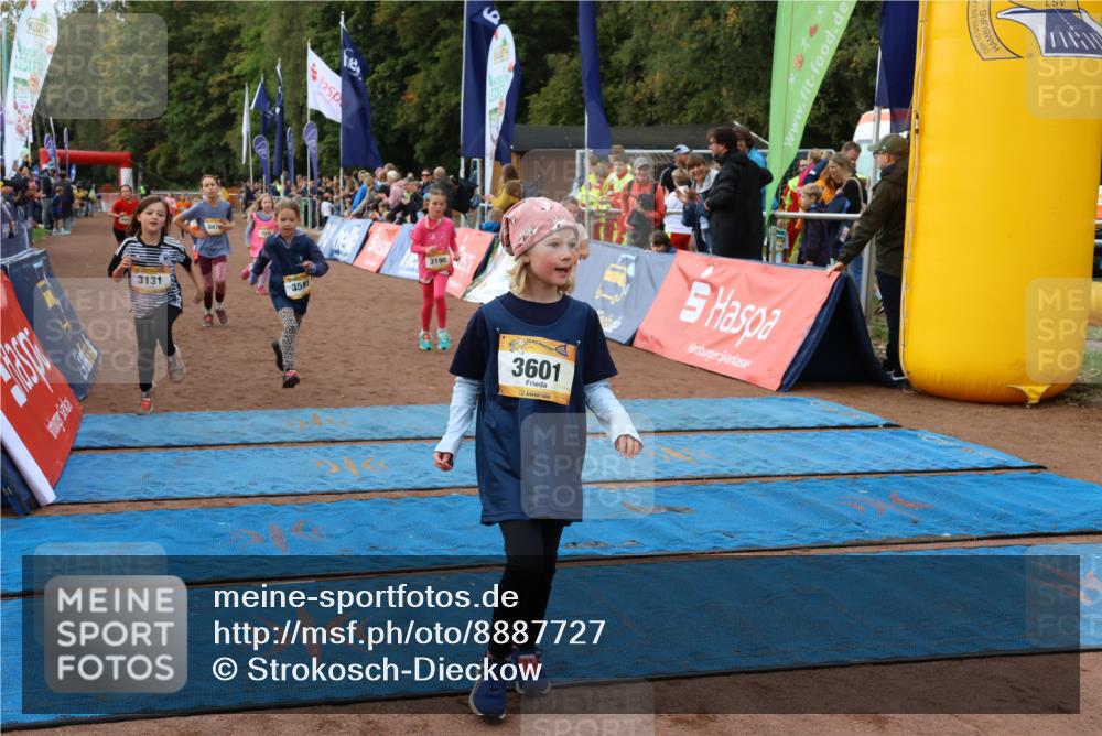 14.09.2025 - Airport Race Strokosch-Dieckow http://msf.ph/oto/8887727 14.09.2025 10:30:47 Ziel 3131, 3179, 3190, 3338, 3469, 3476, 3487, 3495, 3591, 3601, 3748 meine-sportfotos.de