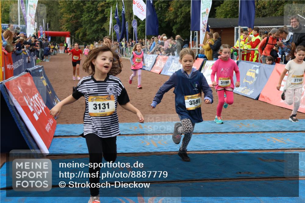 14.09.2025 - Airport Race Strokosch-Dieckow http://msf.ph/oto/8887779 14.09.2025 10:30:48 Ziel 3131, 3179, 3190, 3338, 3476, 3495, 3591, 3601, 3748 meine-sportfotos.de