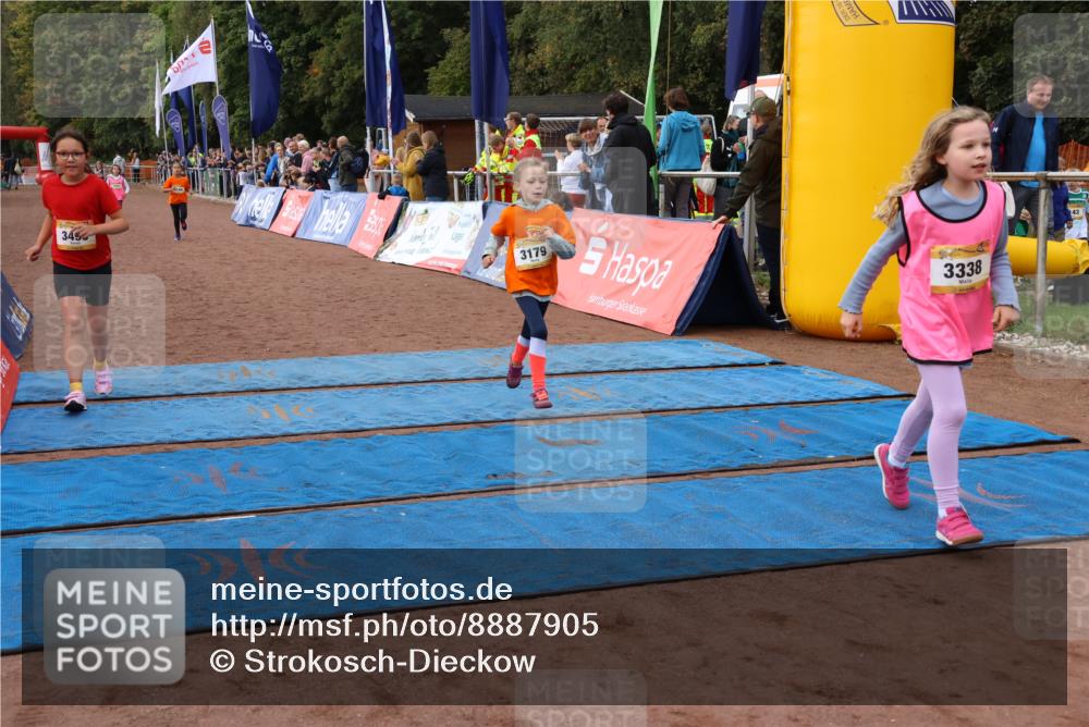 14.09.2025 - Airport Race Strokosch-Dieckow http://msf.ph/oto/8887905 14.09.2025 10:30:53 Ziel 3144, 3179, 3190, 3315, 3338, 3476, 3495, 3748 meine-sportfotos.de