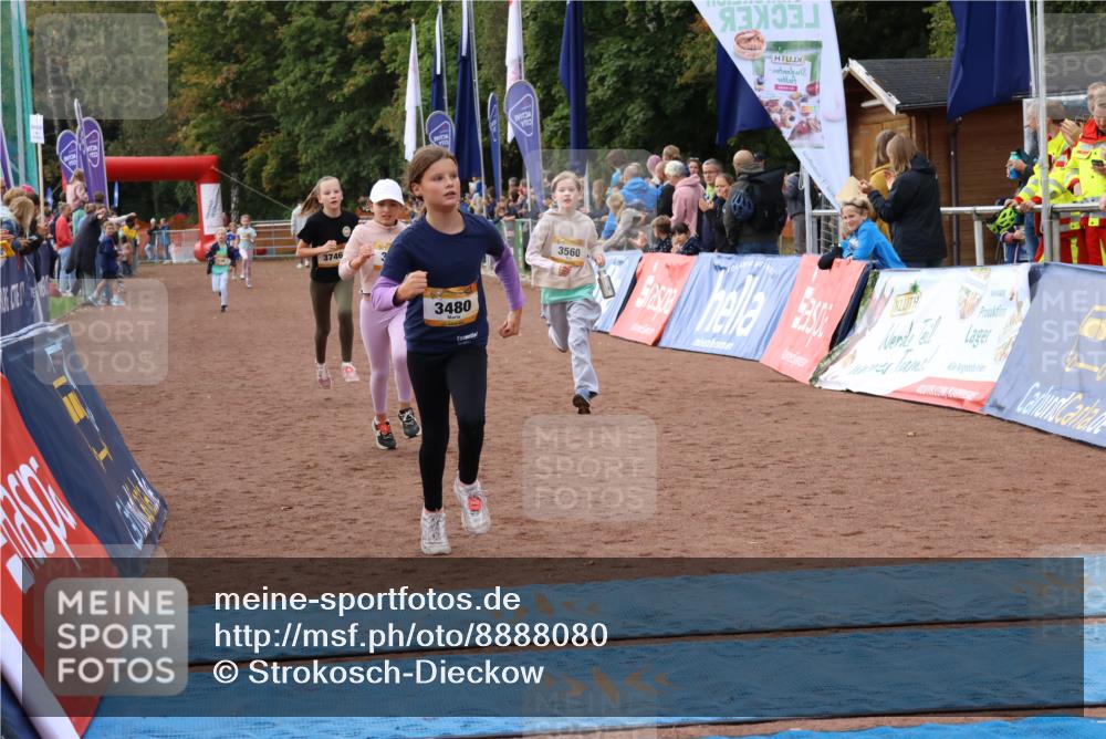 14.09.2025 - Airport Race Strokosch-Dieckow http://msf.ph/oto/8888080 14.09.2025 10:31:21 Ziel 3186, 3480, 3560, 3746 meine-sportfotos.de