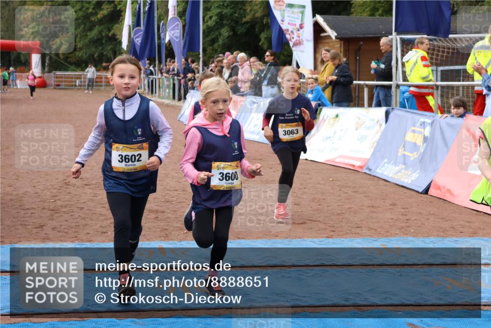 14.09.2025 - Airport Race Strokosch-Dieckow http://msf.ph/oto/8888651 14.09.2025 10:32:28 Ziel 3063, 3085, 3401, 3600, 3602 meine-sportfotos.de