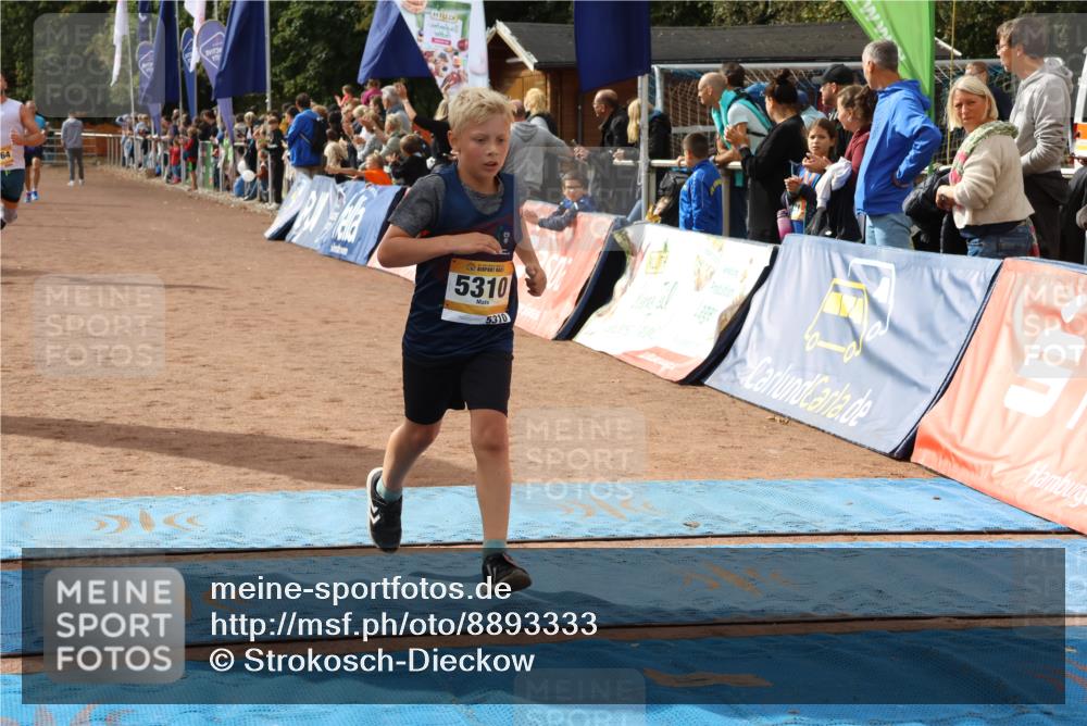 14.09.2025 - Airport Race Strokosch-Dieckow http://msf.ph/oto/8893333 14.09.2025 12:04:56 Ziel 4264, 5140, 5310, 5339, 5521 meine-sportfotos.de