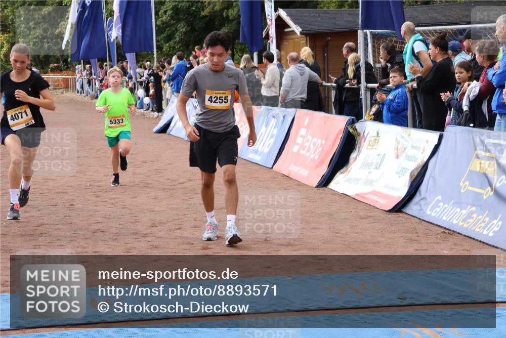 14.09.2025 - Airport Race Strokosch-Dieckow http://msf.ph/oto/8893571 14.09.2025 12:06:24 Ziel 272, 4065, 4071, 4171, 4255, 4273, 5278, 5333 meine-sportfotos.de