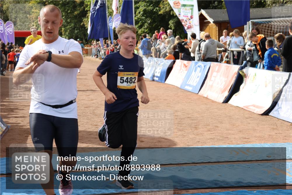 14.09.2025 - Airport Race Strokosch-Dieckow http://msf.ph/oto/8893988 14.09.2025 12:09:32 Ziel 426, 454, 724, 1460, 4040, 5123, 5311, 5458, 5482, 5503 meine-sportfotos.de