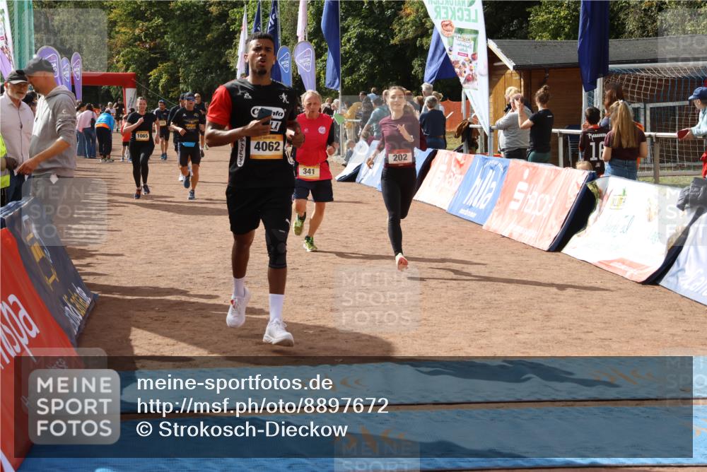 14.09.2025 - Airport Race Strokosch-Dieckow http://msf.ph/oto/8897672 14.09.2025 12:22:34 Ziel 186, 202, 341, 471, 611, 1065, 4062, 4183 meine-sportfotos.de