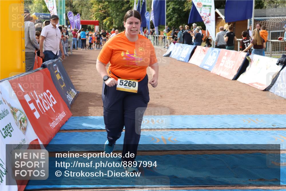 14.09.2025 - Airport Race Strokosch-Dieckow http://msf.ph/oto/8897994 14.09.2025 12:23:10 Ziel 452, 1667, 1694, 5260, 5522 meine-sportfotos.de