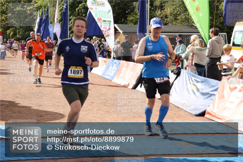 14.09.2025 - Airport Race Strokosch-Dieckow http://msf.ph/oto/8899879 14.09.2025 12:28:07 Ziel 33, 139, 222, 242, 281, 365, 498, 646, 716, 1073, 1897, 1988, 4032, 4129 meine-sportfotos.de