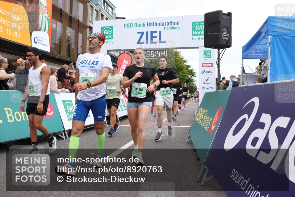 21.09.2025 - PSD Bank Halbmarathon Strokosch-Dieckow http://msf.ph/oto/8920763 21.09.2025 11:56:08 Ziel 1038, 1133, 1273, 1536, 1568, 1615, 2218, 2323, 2456, 2488, 2535, 2626, 2678, 2792, 2829, 3100, 3166, 3903, 4062 meine-sportfotos.de