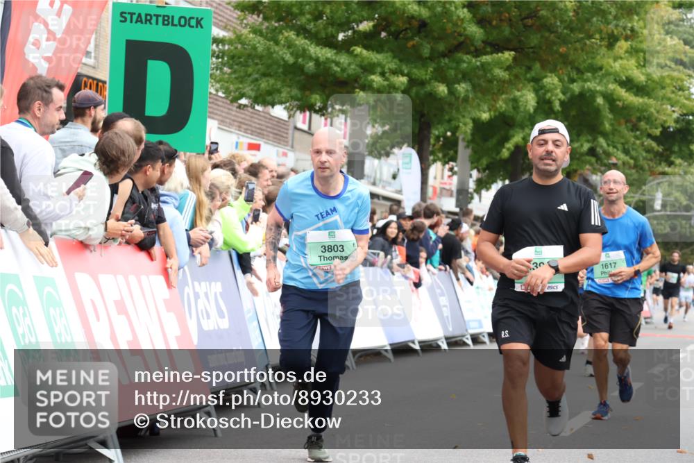 21.09.2025 - PSD Bank Halbmarathon Strokosch-Dieckow http://msf.ph/oto/8930233 21.09.2025 12:12:33 Ziel 1390, 1617, 2732, 2768, 3215, 3394, 3803 meine-sportfotos.de