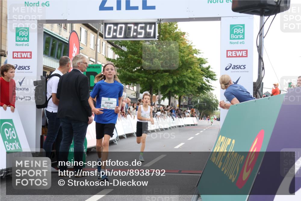 21.09.2025 - PSD Bank Halbmarathon Strokosch-Dieckow http://msf.ph/oto/8938792 21.09.2025 10:25:25 Ziel 310, 359, 378 meine-sportfotos.de