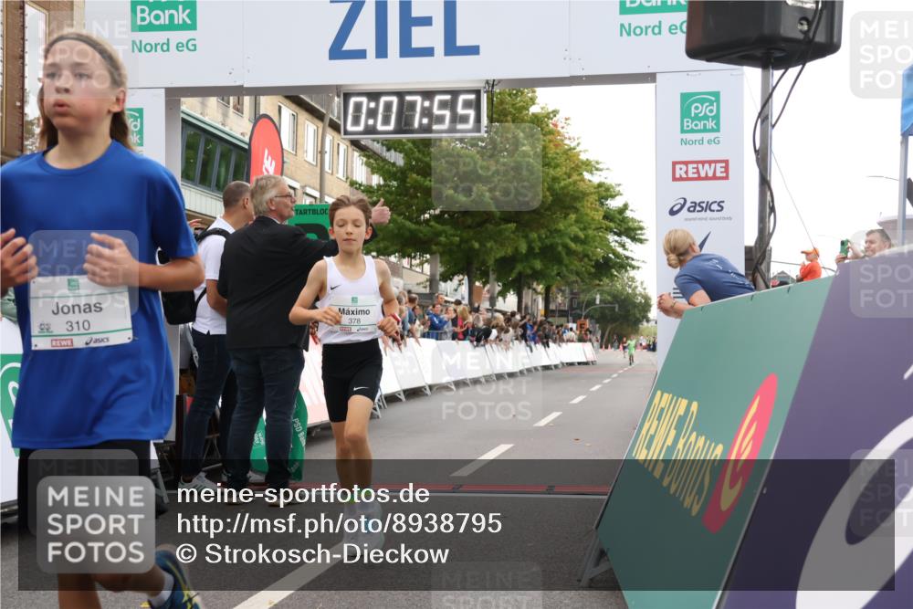 21.09.2025 - PSD Bank Halbmarathon Strokosch-Dieckow http://msf.ph/oto/8938795 21.09.2025 10:25:26 Ziel 310, 359, 378 meine-sportfotos.de
