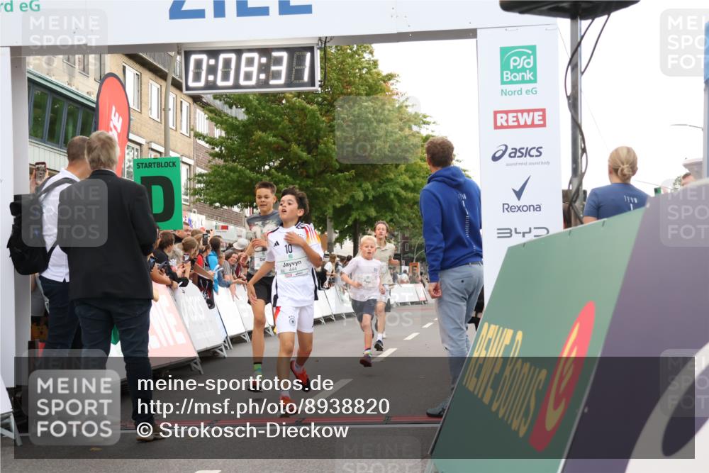 21.09.2025 - PSD Bank Halbmarathon Strokosch-Dieckow http://msf.ph/oto/8938820 21.09.2025 10:26:03 Ziel 112, 115, 118, 162, 302, 349, 421, 444 meine-sportfotos.de