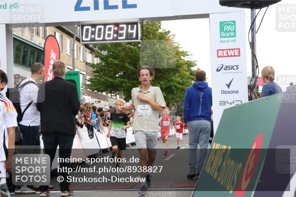 21.09.2025 - PSD Bank Halbmarathon Strokosch-Dieckow http://msf.ph/oto/8938827 21.09.2025 10:26:06 Ziel 112, 115, 162, 302, 421, 444, 450 meine-sportfotos.de