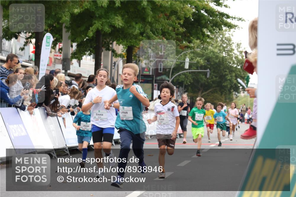 21.09.2025 - PSD Bank Halbmarathon Strokosch-Dieckow http://msf.ph/oto/8938946 21.09.2025 10:27:54 Ziel 144, 149, 262, 354, 362, 367, 392, 436, 451 meine-sportfotos.de