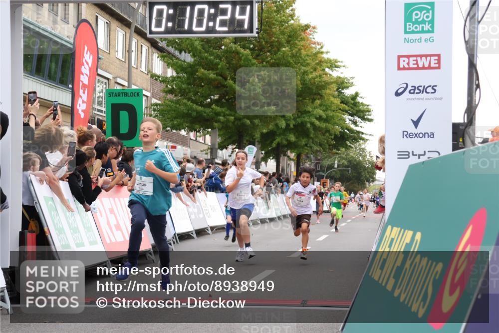 21.09.2025 - PSD Bank Halbmarathon Strokosch-Dieckow http://msf.ph/oto/8938949 21.09.2025 10:27:56 Ziel 144, 203, 354, 362, 367, 436, 451 meine-sportfotos.de
