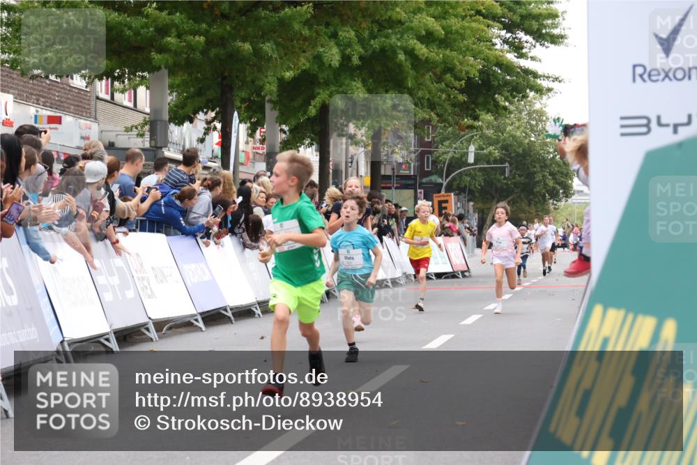 21.09.2025 - PSD Bank Halbmarathon Strokosch-Dieckow http://msf.ph/oto/8938954 21.09.2025 10:27:59 Ziel 144, 203, 241, 254, 289, 354, 362, 367, 401, 451 meine-sportfotos.de