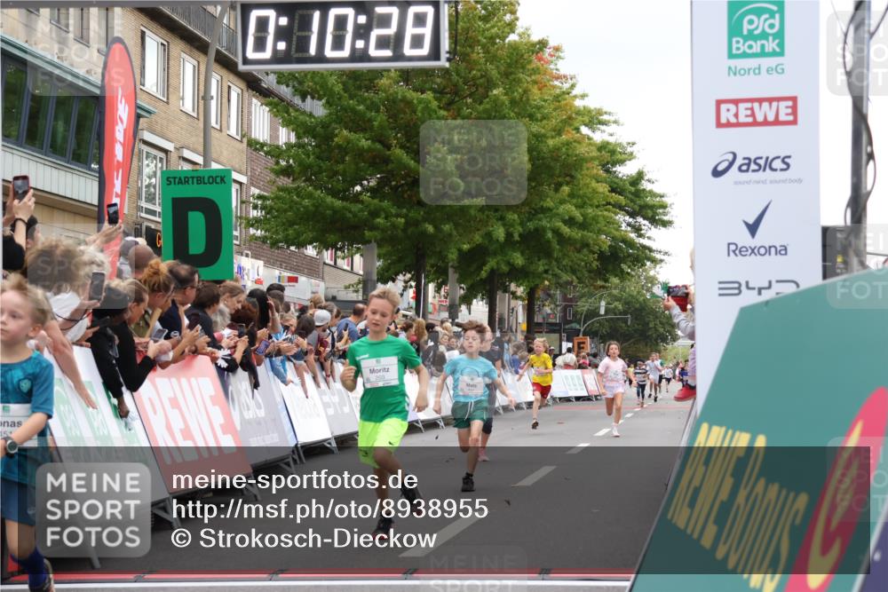 21.09.2025 - PSD Bank Halbmarathon Strokosch-Dieckow http://msf.ph/oto/8938955 21.09.2025 10:28:00 Ziel 144, 203, 241, 254, 289, 354, 367, 401, 451 meine-sportfotos.de