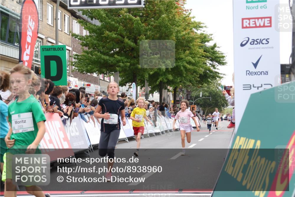 21.09.2025 - PSD Bank Halbmarathon Strokosch-Dieckow http://msf.ph/oto/8938960 21.09.2025 10:28:02 Ziel 144, 203, 241, 254, 289, 354, 367, 401, 451 meine-sportfotos.de