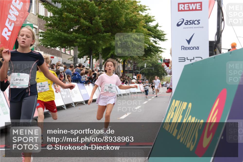 21.09.2025 - PSD Bank Halbmarathon Strokosch-Dieckow http://msf.ph/oto/8938963 21.09.2025 10:28:03 Ziel 144, 203, 241, 254, 289, 354, 367, 401, 451 meine-sportfotos.de