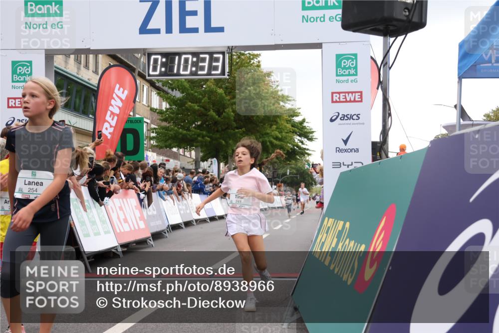 21.09.2025 - PSD Bank Halbmarathon Strokosch-Dieckow http://msf.ph/oto/8938966 21.09.2025 10:28:05 Ziel 203, 241, 254, 289, 401, 411, 451 meine-sportfotos.de