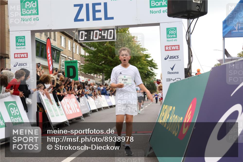 21.09.2025 - PSD Bank Halbmarathon Strokosch-Dieckow http://msf.ph/oto/8938978 21.09.2025 10:28:12 Ziel 220, 253, 288, 356, 411, 442 meine-sportfotos.de