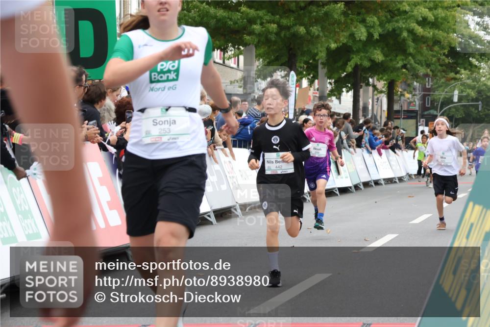 21.09.2025 - PSD Bank Halbmarathon Strokosch-Dieckow http://msf.ph/oto/8938980 21.09.2025 10:28:14 Ziel 220, 253, 288, 356, 411, 442 meine-sportfotos.de