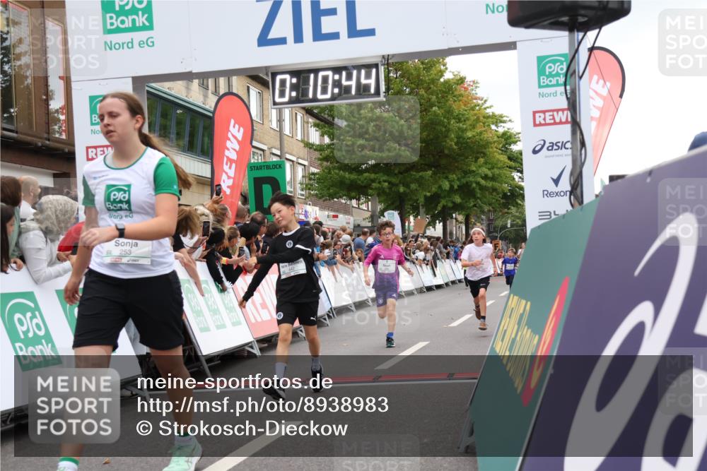 21.09.2025 - PSD Bank Halbmarathon Strokosch-Dieckow http://msf.ph/oto/8938983 21.09.2025 10:28:16 Ziel 220, 253, 288, 356, 411, 442 meine-sportfotos.de