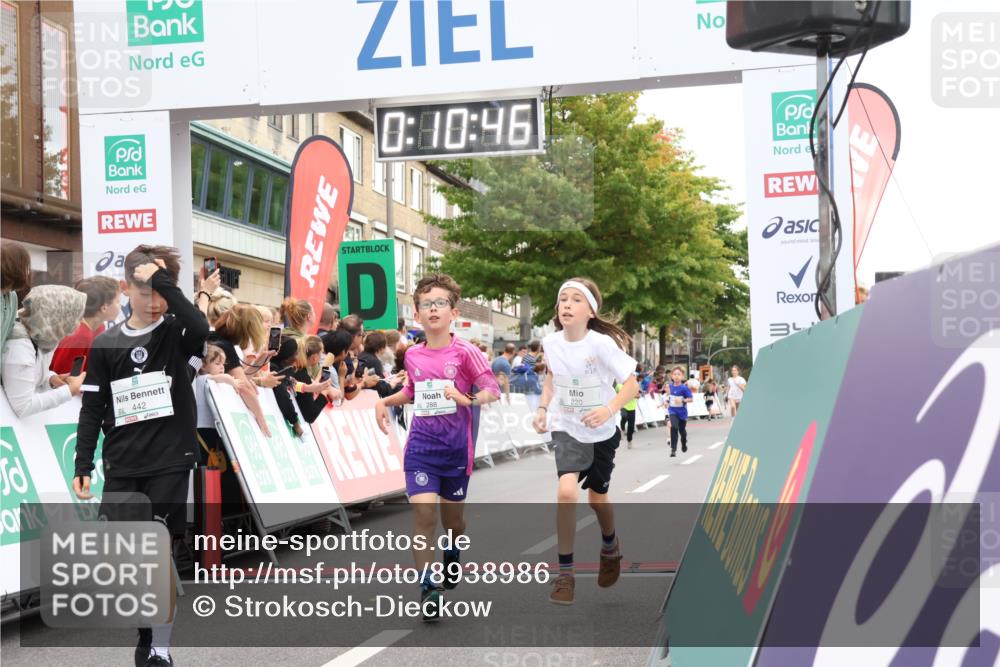 21.09.2025 - PSD Bank Halbmarathon Strokosch-Dieckow http://msf.ph/oto/8938986 21.09.2025 10:28:17 Ziel 213, 220, 253, 288, 356, 411, 442 meine-sportfotos.de