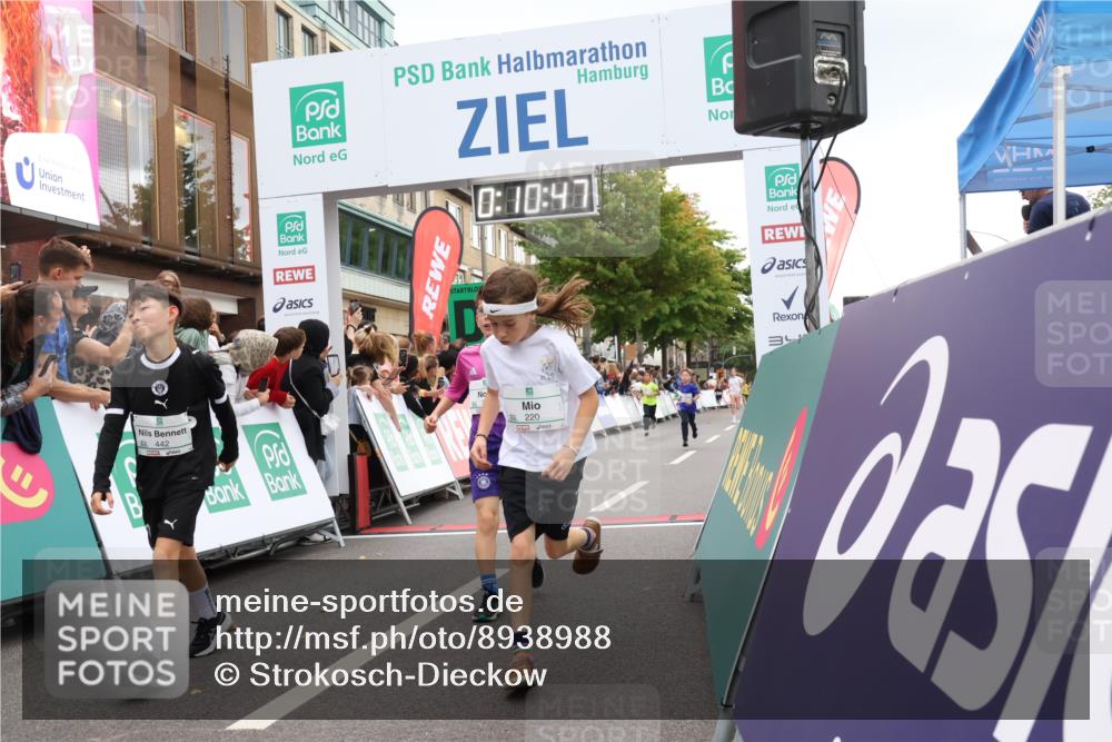 21.09.2025 - PSD Bank Halbmarathon Strokosch-Dieckow http://msf.ph/oto/8938988 21.09.2025 10:28:18 Ziel 213, 220, 253, 270, 288, 356, 425, 442 meine-sportfotos.de