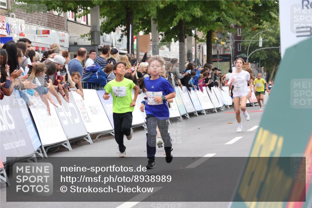 21.09.2025 - PSD Bank Halbmarathon Strokosch-Dieckow http://msf.ph/oto/8938989 21.09.2025 10:28:20 Ziel 213, 220, 240, 253, 270, 288, 425, 442 meine-sportfotos.de