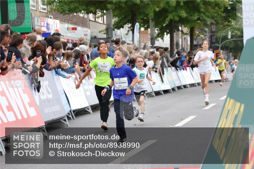21.09.2025 - PSD Bank Halbmarathon Strokosch-Dieckow http://msf.ph/oto/8938990 21.09.2025 10:28:20 Ziel 213, 220, 240, 253, 270, 288, 425, 442 meine-sportfotos.de