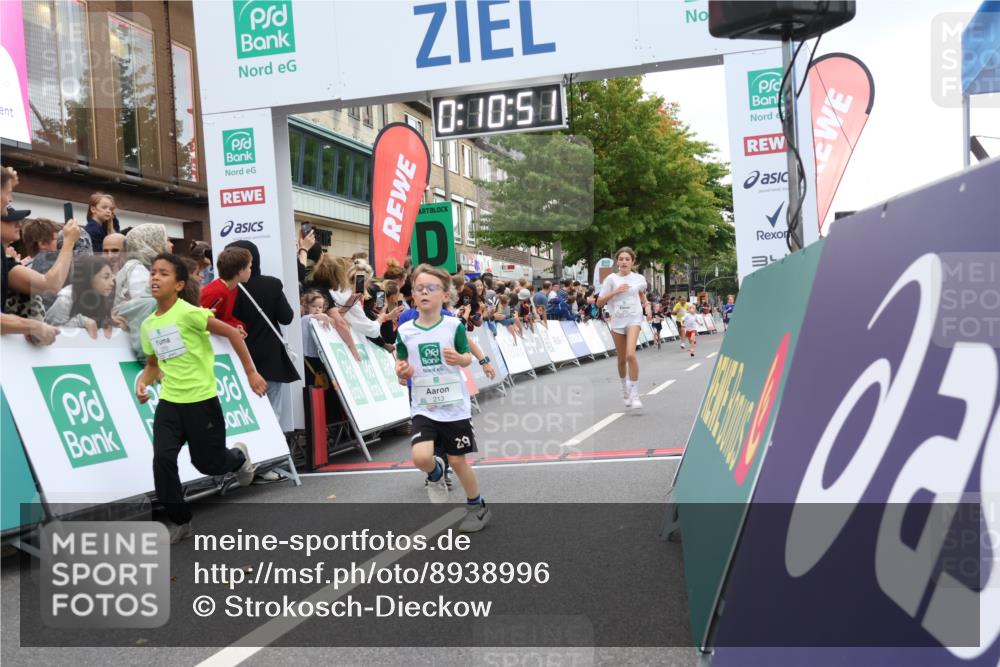 21.09.2025 - PSD Bank Halbmarathon Strokosch-Dieckow http://msf.ph/oto/8938996 21.09.2025 10:28:23 Ziel 158, 163, 213, 220, 240, 270, 288, 425, 442 meine-sportfotos.de