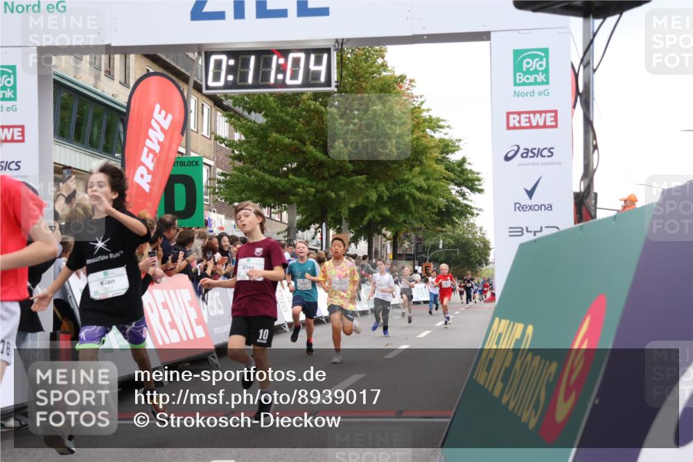 21.09.2025 - PSD Bank Halbmarathon Strokosch-Dieckow http://msf.ph/oto/8939017 21.09.2025 10:28:36 Ziel 123, 150, 157, 197, 204, 205, 215, 316, 317, 321, 426, 461 meine-sportfotos.de
