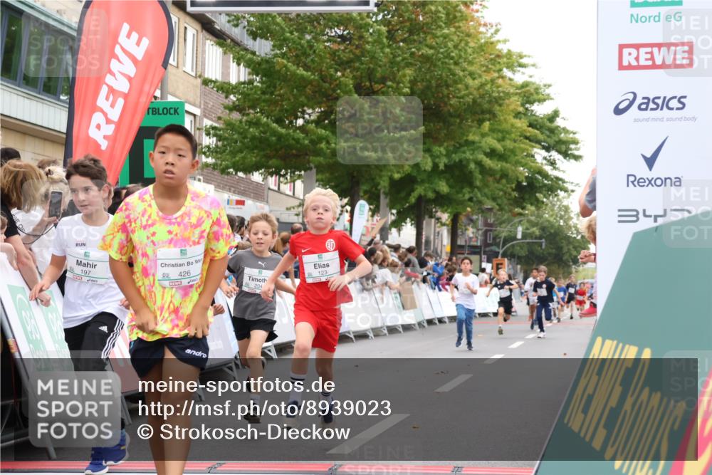 21.09.2025 - PSD Bank Halbmarathon Strokosch-Dieckow http://msf.ph/oto/8939023 21.09.2025 10:28:39 Ziel 123, 150, 157, 197, 204, 205, 215, 317, 321, 426 meine-sportfotos.de