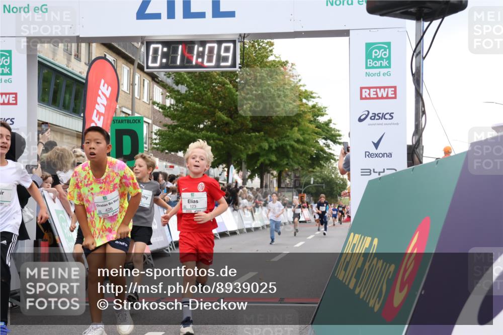 21.09.2025 - PSD Bank Halbmarathon Strokosch-Dieckow http://msf.ph/oto/8939025 21.09.2025 10:28:40 Ziel 123, 150, 157, 197, 198, 204, 205, 215, 317, 321, 374, 426 meine-sportfotos.de
