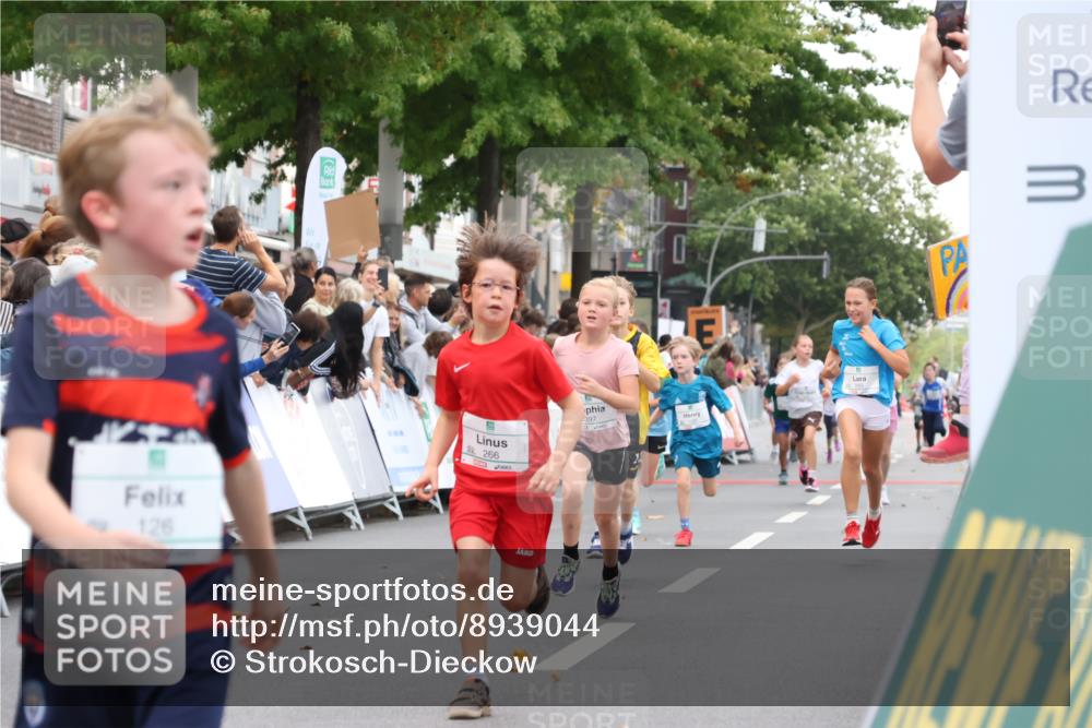 21.09.2025 - PSD Bank Halbmarathon Strokosch-Dieckow http://msf.ph/oto/8939044 21.09.2025 10:28:53 Ziel 109, 126, 255, 266, 357, 361, 371, 388, 389, 397, 408, 437, 440 meine-sportfotos.de