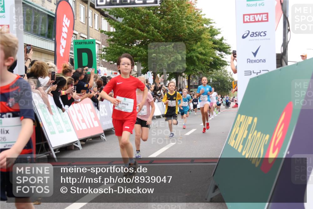 21.09.2025 - PSD Bank Halbmarathon Strokosch-Dieckow http://msf.ph/oto/8939047 21.09.2025 10:28:55 Ziel 109, 126, 255, 266, 337, 357, 371, 388, 389, 397, 408, 415, 437, 440 meine-sportfotos.de