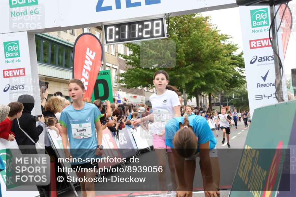 21.09.2025 - PSD Bank Halbmarathon Strokosch-Dieckow http://msf.ph/oto/8939056 21.09.2025 10:29:00 Ziel 109, 142, 167, 193, 194, 212, 255, 258, 266, 337, 338, 371, 397, 412, 415, 440 meine-sportfotos.de