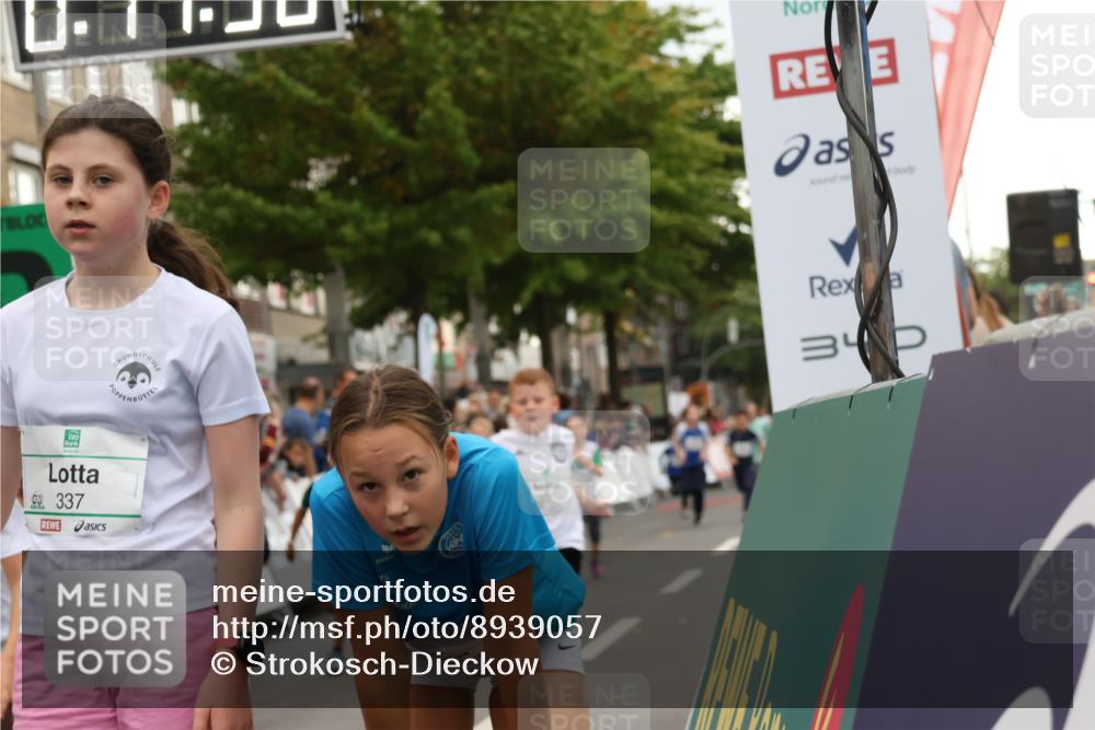 21.09.2025 - PSD Bank Halbmarathon Strokosch-Dieckow http://msf.ph/oto/8939057 21.09.2025 10:29:01 Ziel 109, 134, 142, 167, 193, 194, 212, 255, 258, 266, 337, 338, 397, 412, 415, 440 meine-sportfotos.de