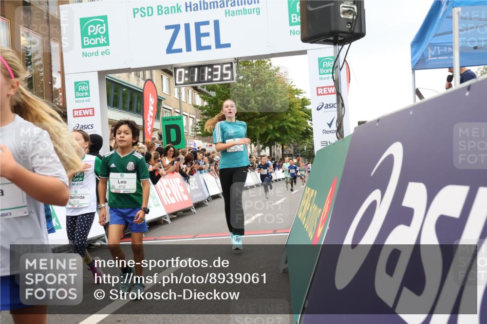 21.09.2025 - PSD Bank Halbmarathon Strokosch-Dieckow http://msf.ph/oto/8939061 21.09.2025 10:29:06 Ziel 134, 142, 167, 193, 194, 196, 212, 258, 294, 337, 338, 412, 415, 452 meine-sportfotos.de